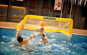 53542e412606c_waterpolo2.jpg