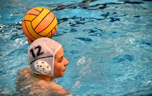 53542e436d5e4_waterpolo4.jpg