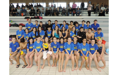 Belle participation des nageurs Villefranchois à Montauban