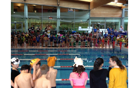 Des podiums pour les équipes aux Interclubs de Rodez.